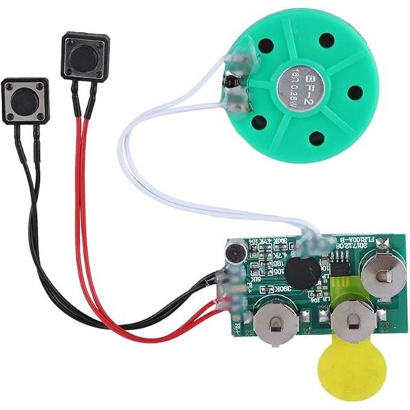Fosa DIY Music Sound Voice Recording Module Chip