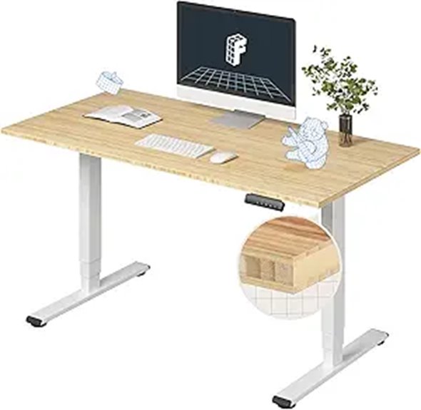 FlexiSpot E6 Dual Motor Standing Desk (48x24)