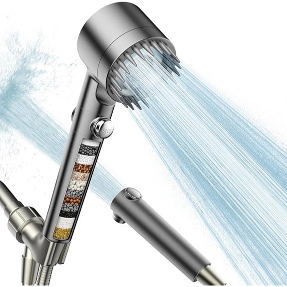 Filtered Shower Head with Handheld and ON/OFF Switch