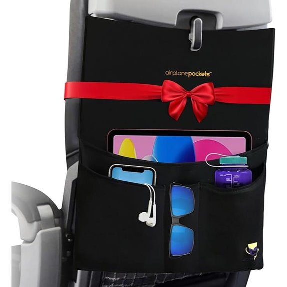 Airplane Pockets Travel Organizer and Accessories