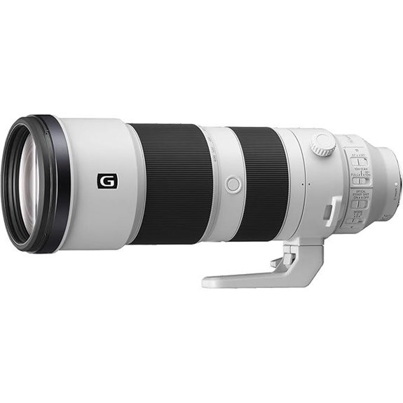 Sony 200-600mm f/5.6-6.3 G OSS Telephoto Lens