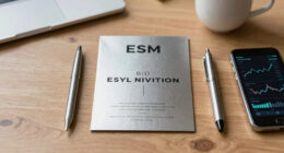 Invitation To Bid For 3-Months Bills Of The European Stability Mechanism (ESM)