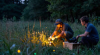 Inside The Production Of “Luciole — The Synchronous Fireflies Of Vallon Creux”